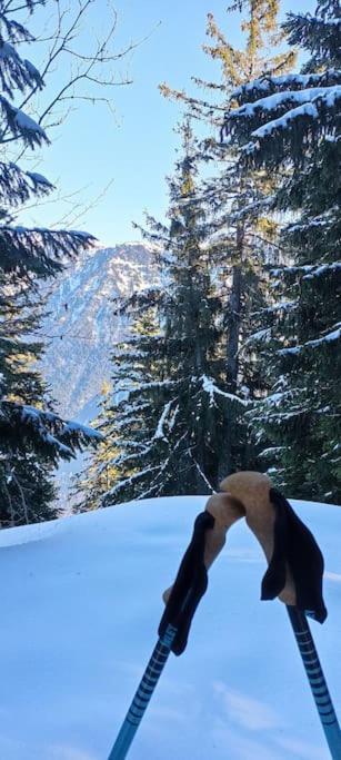 Bel Appart Pour 4/6 Pers Plein Sud Sans Vis A Vis Chamrousse Eksteriør billede