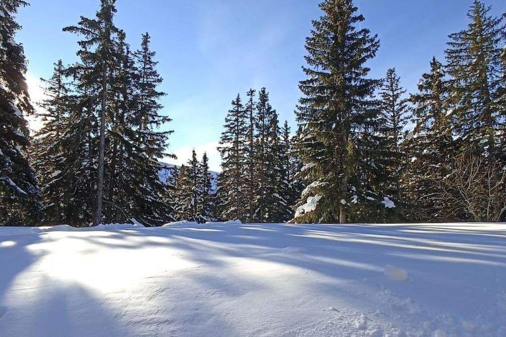 Bel Appart Pour 4/6 Pers Plein Sud Sans Vis A Vis Chamrousse Eksteriør billede