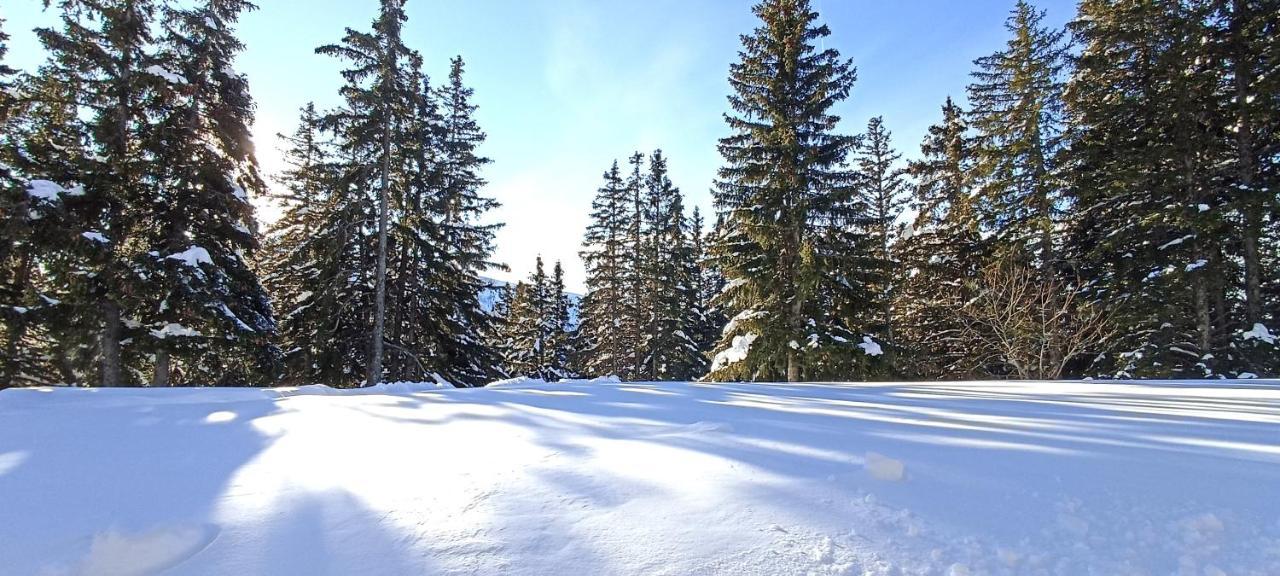 Bel Appart Pour 4/6 Pers Plein Sud Sans Vis A Vis Chamrousse Eksteriør billede