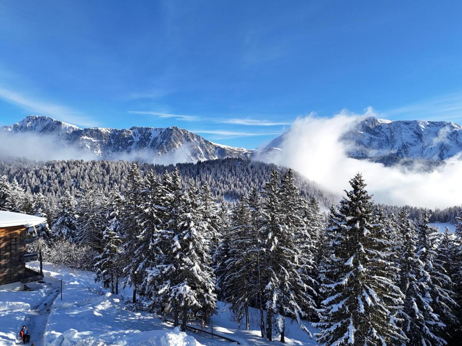 Bel Appart Pour 4/6 Pers Plein Sud Sans Vis A Vis Chamrousse Eksteriør billede